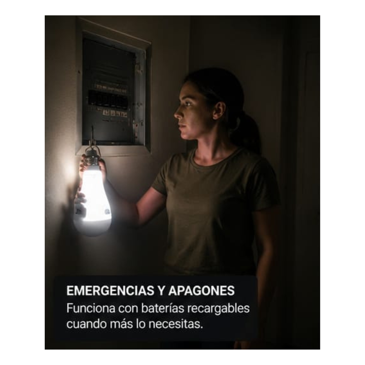Bombilla Recargable 20w